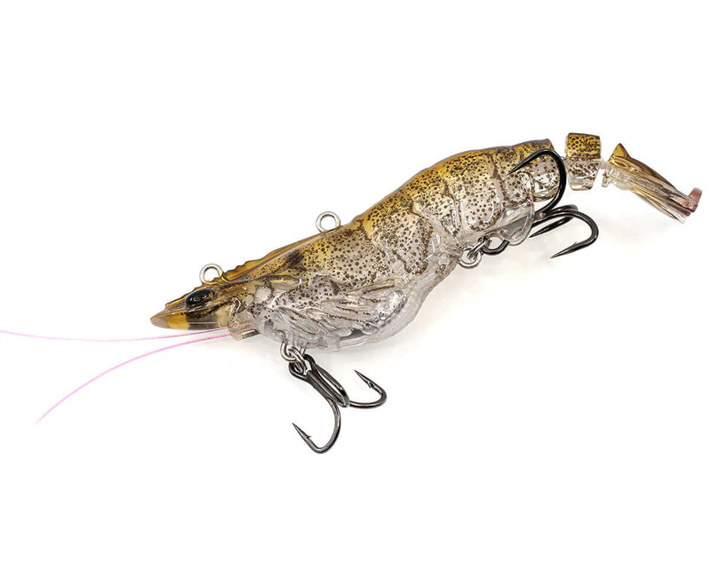 NATIVE PRAWN
