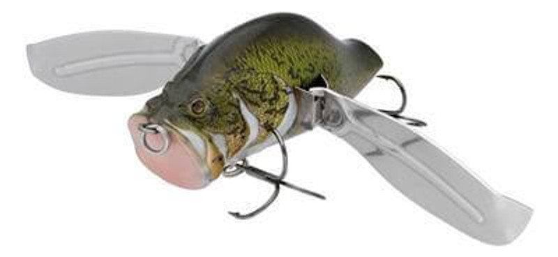 #11 MURRAY COD