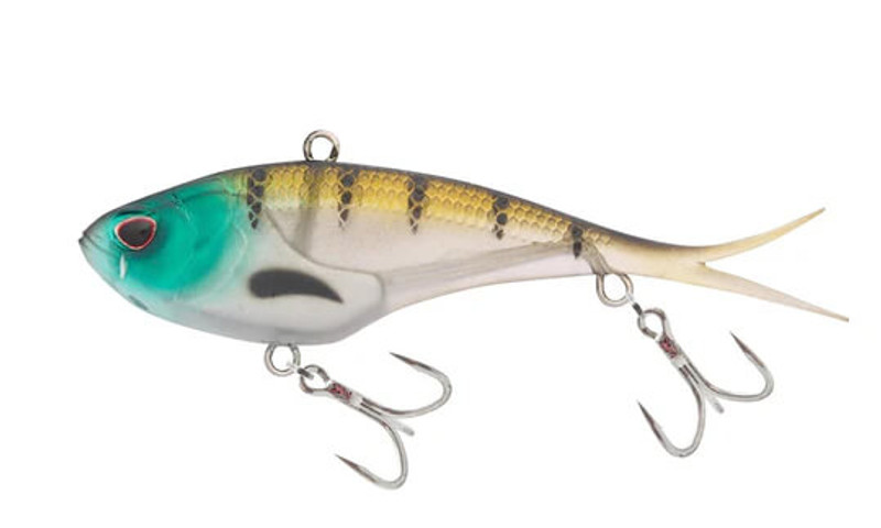 BLUE GILL AYU