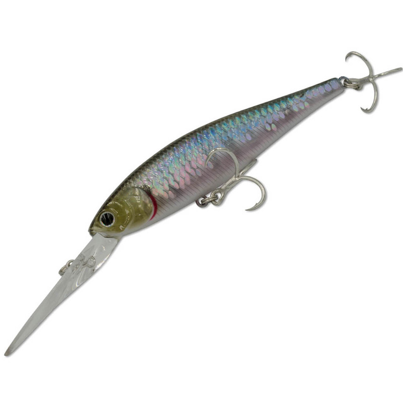 GHOST MINNOW