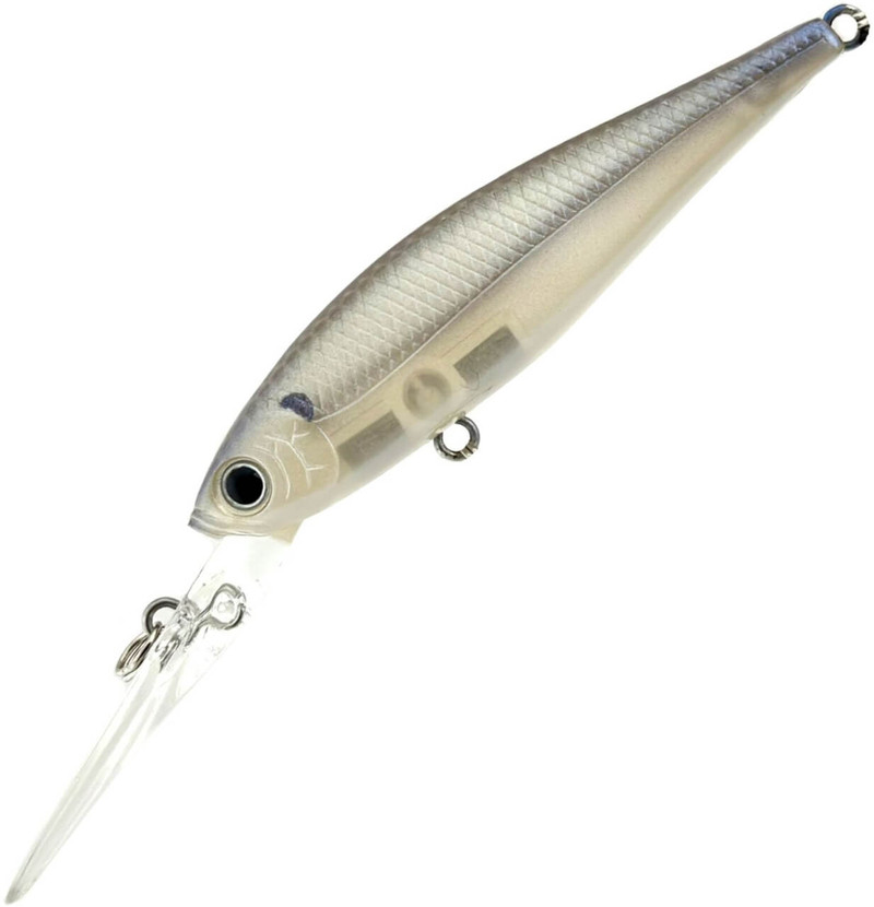 STRIPED SHAD