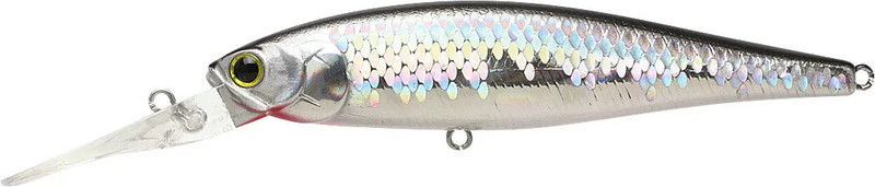 MS ANCHOVY