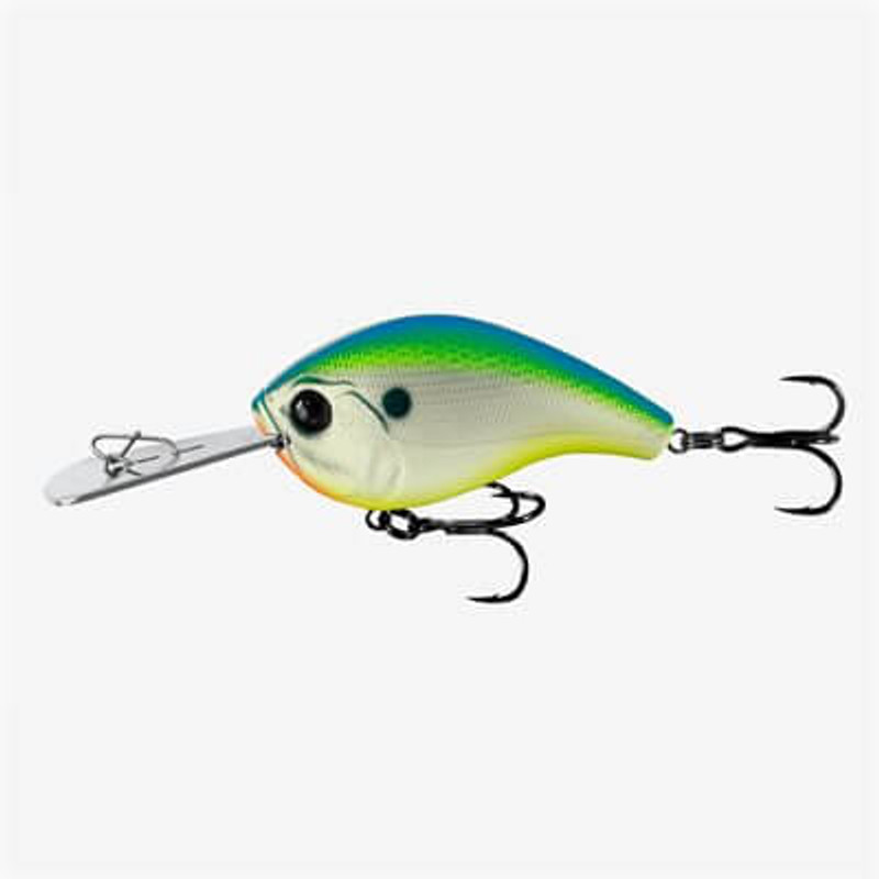 CITRUS SHAD