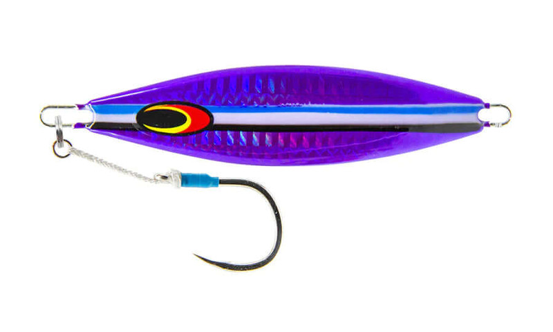 PURPLE FUSILIER