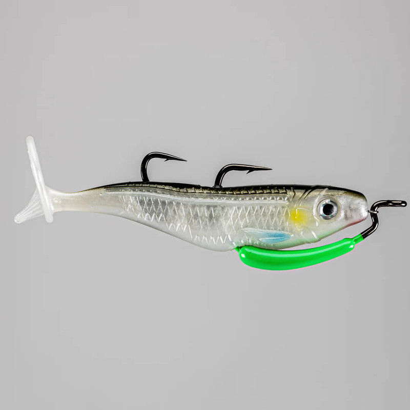 PODDY MULLET