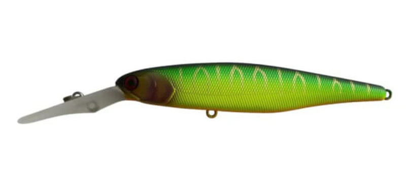 GULF SHAD