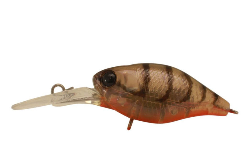 BROWN SUJI SHRIMP