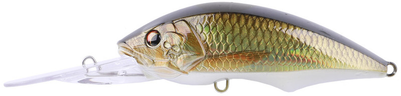 CARP