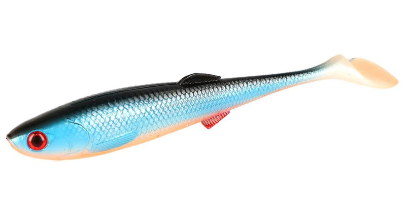 BLUE ROACH 