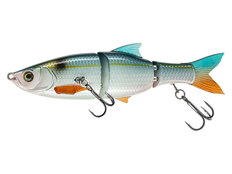 THREADFIN SHAD