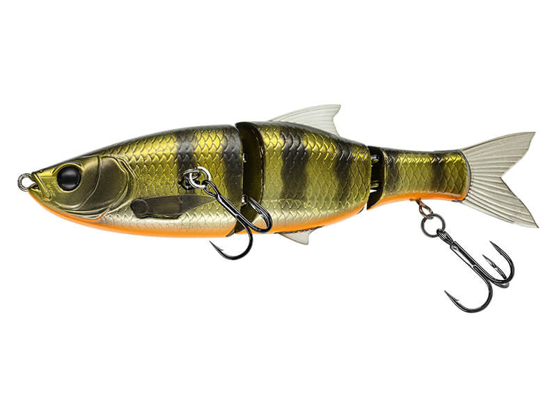 DARK GILL ORANGE BELLY