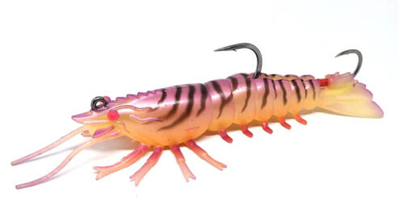 PINK EYE SHRIMP