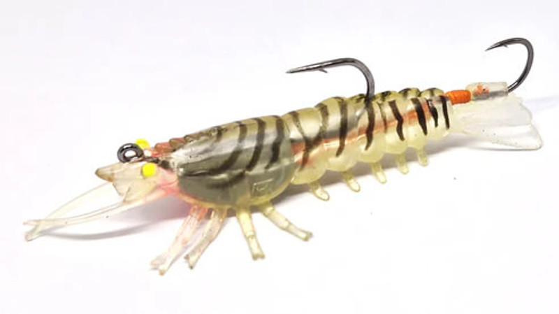 GHOST SHRIMP