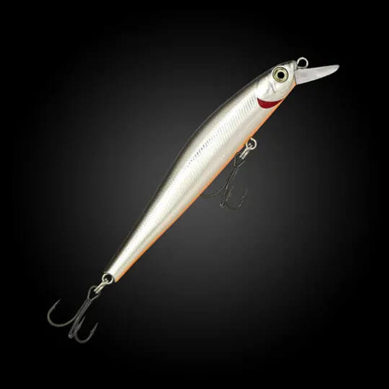 SILVER SHAD
