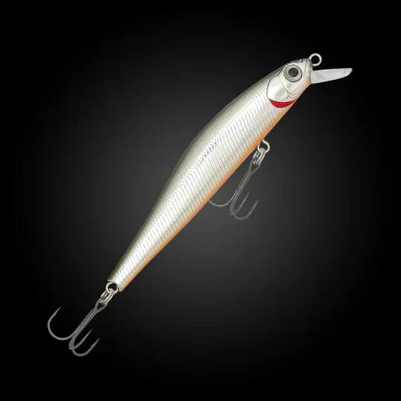 SILVER SHAD