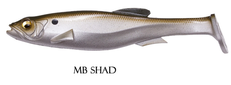 MB SHAD