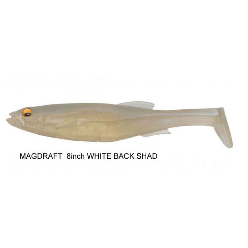 WHITE BACK SHAD