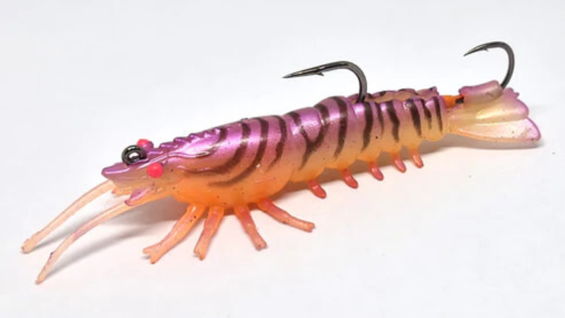 PINK EYE SHRIMP