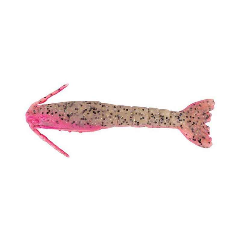 PINK BELLY SHRIMP