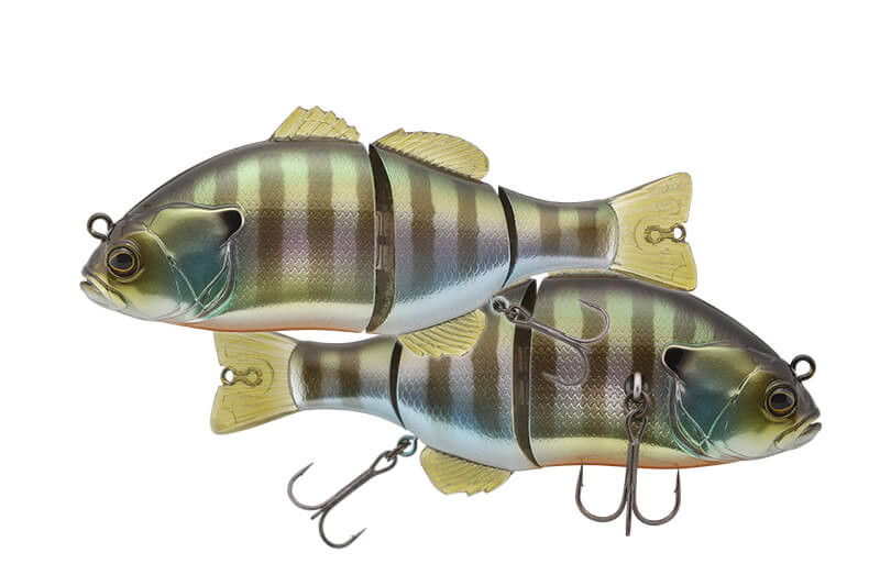 HL BLUEGILL
