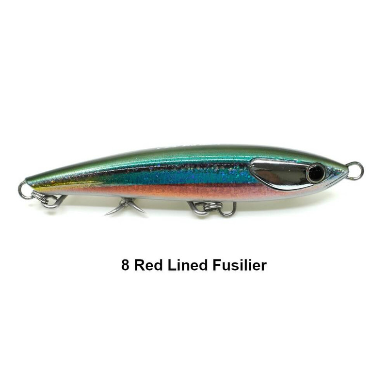 RED LINED FUSILIER