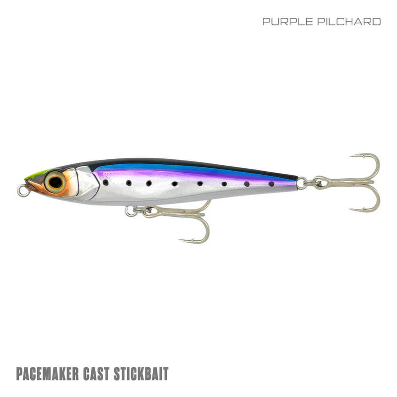 PURPLE PILCHARD