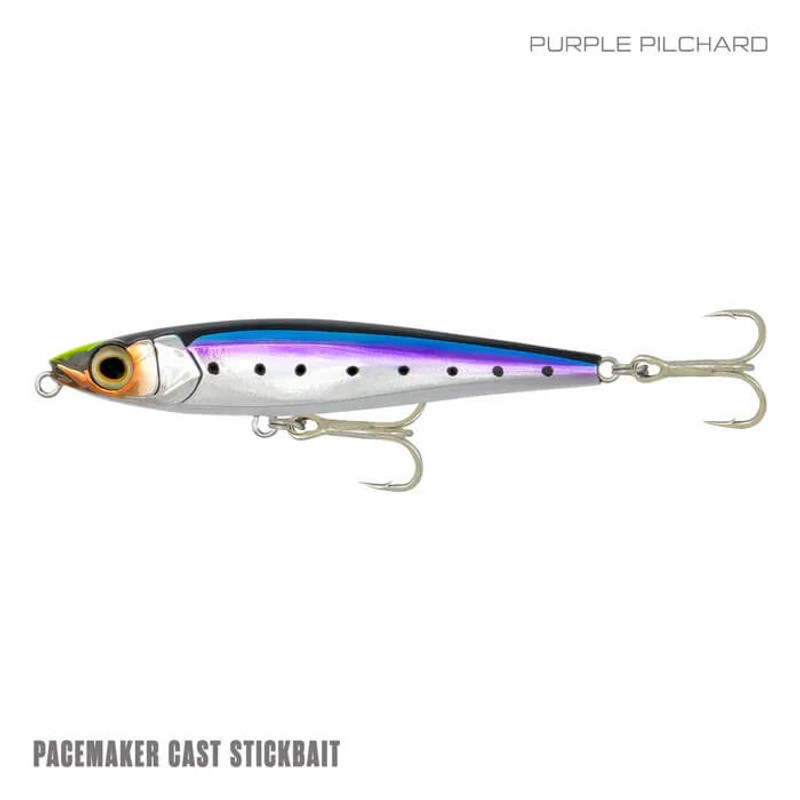 PURPLE PILCHARD