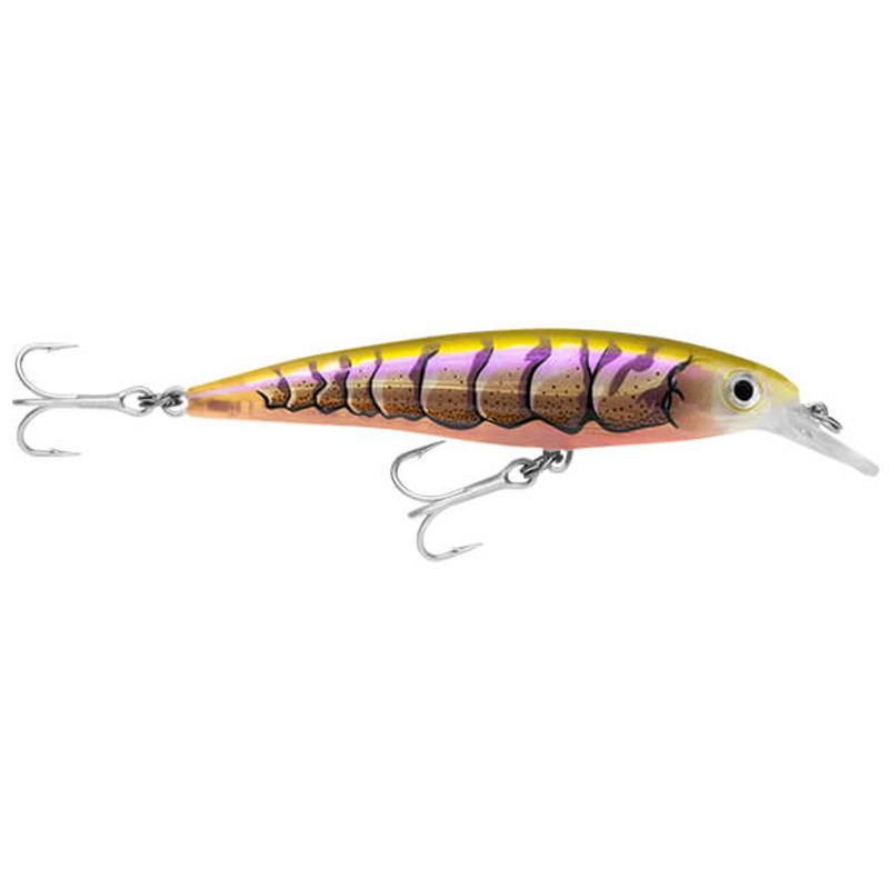 PURPLE PRAWN UV