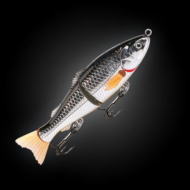 SILVER SHAD