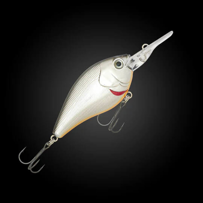 SILVER SHAD