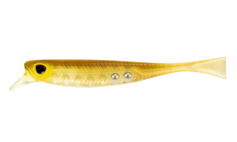 GOLDEN SHINER