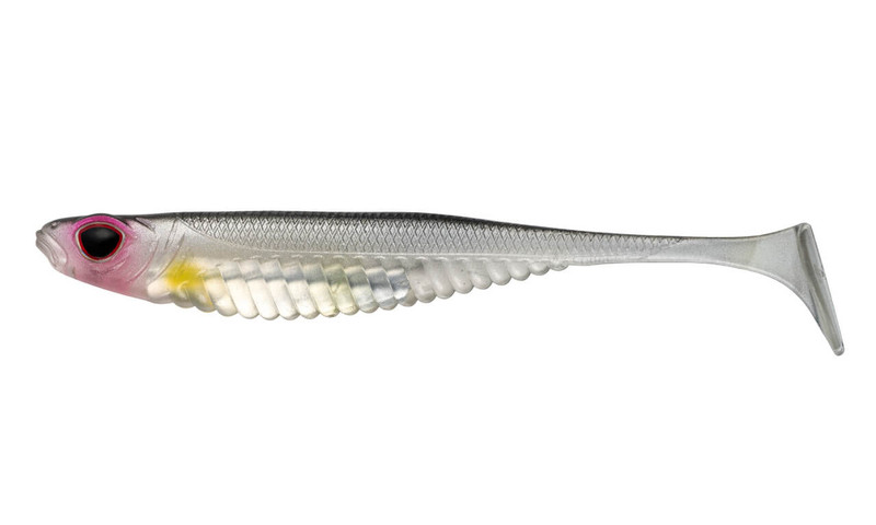 SILVER SHAD