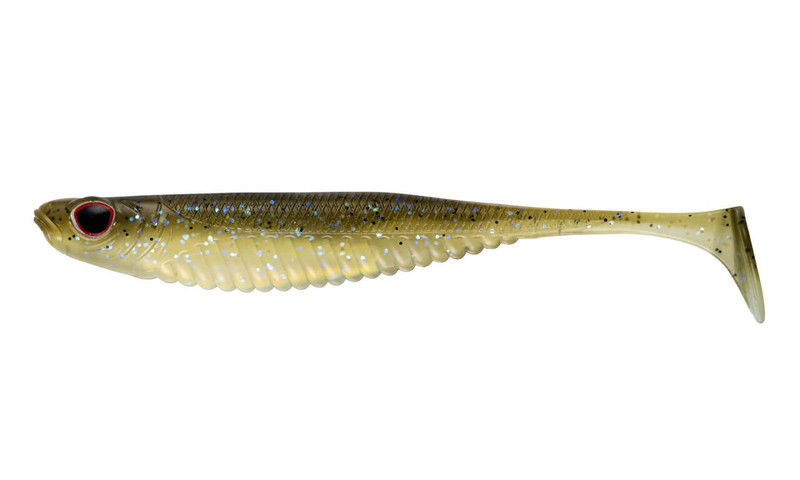 TENNESSEE SHAD