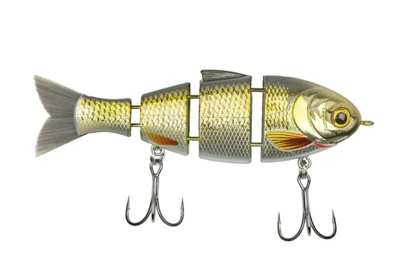 GOLDEN SHINER