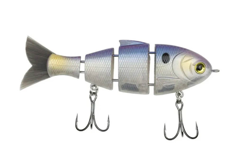 THREADFIN SHAD