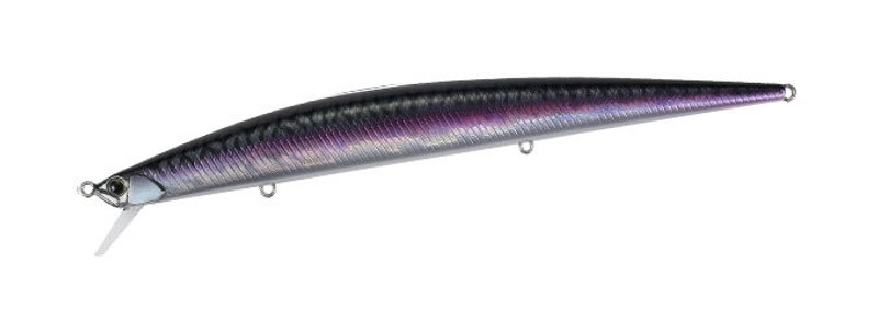 MACKEREL NOIR