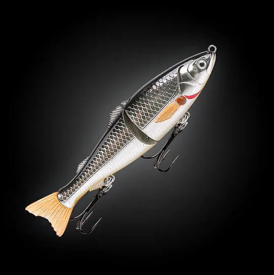 SILVER SHAD