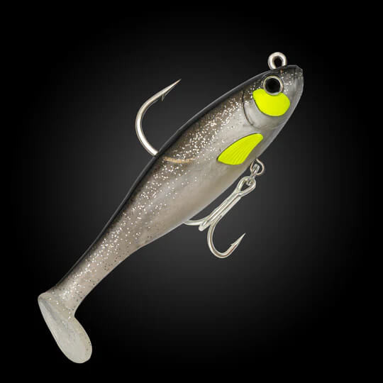 SILVER SHAD