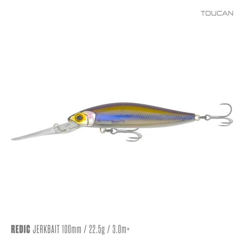 TOUCAN