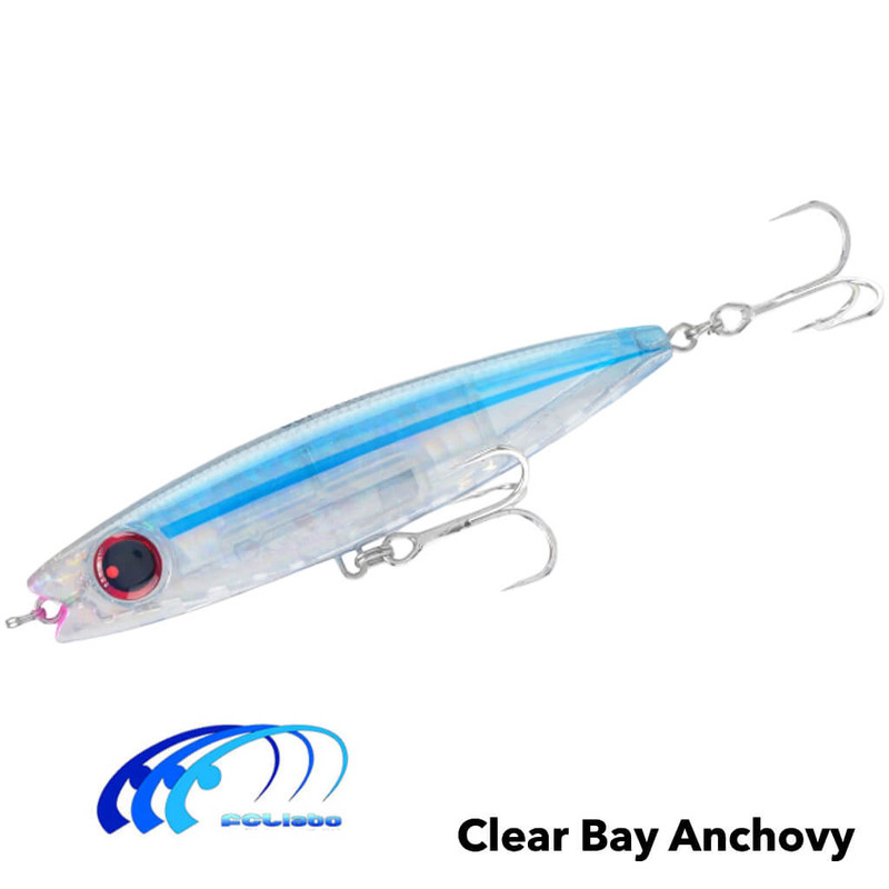 CLEAR BAY ANCHOVY