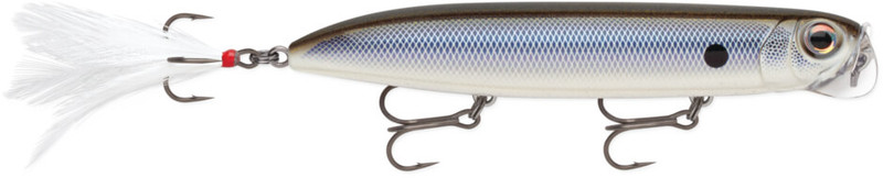 BLACK BACK SHAD