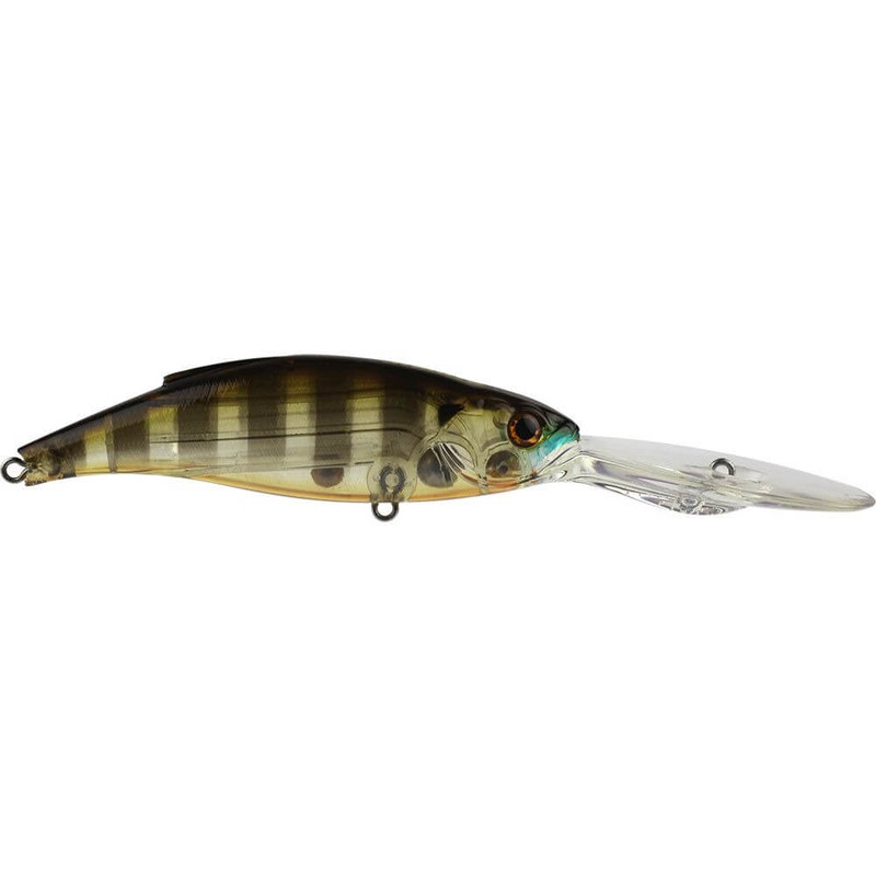 GHOST GILL BROWN