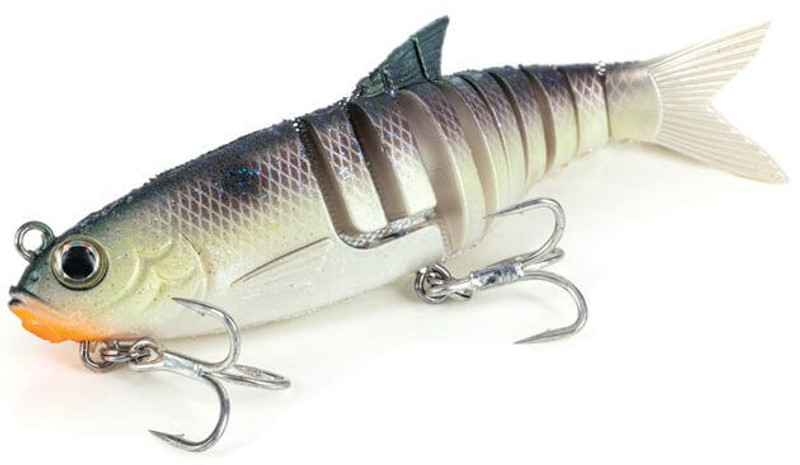 BLUE BACK HERRING