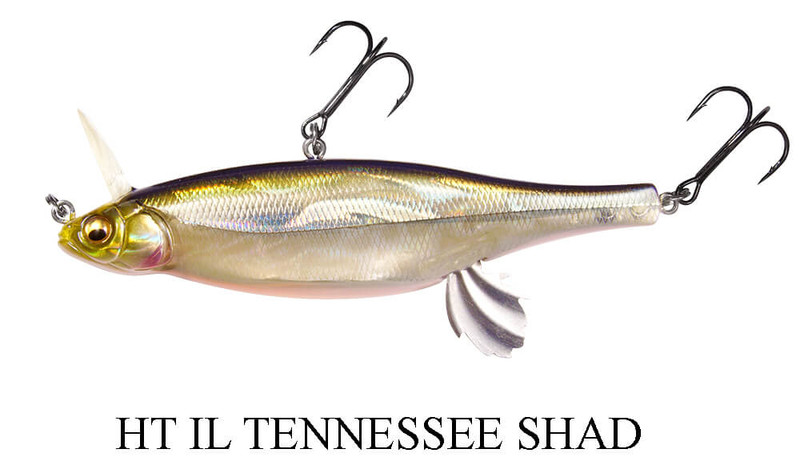 HT IL TENNESSEE SHAD