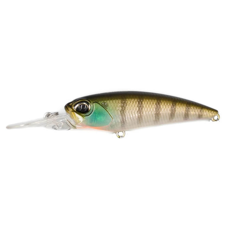 GHOST GILL