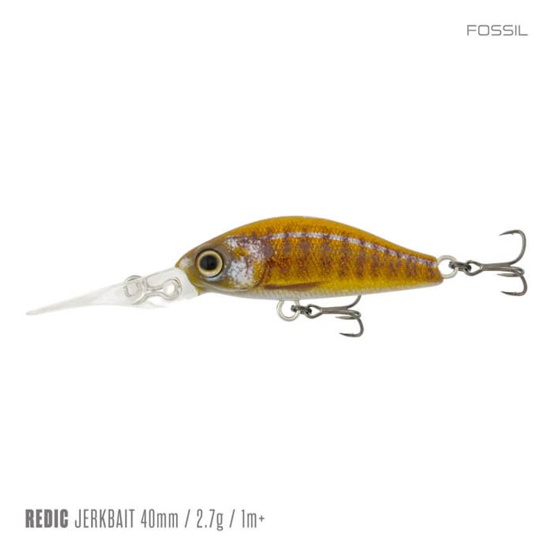 FOSSIL