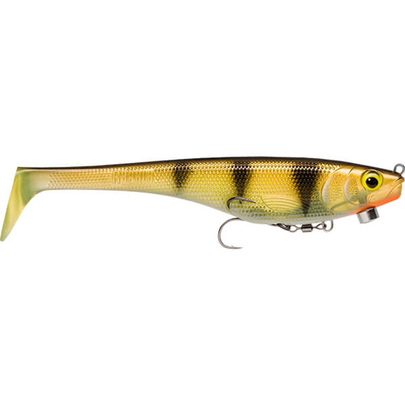 LIVE PERCH