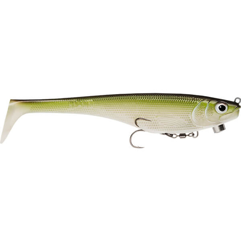MINNOW