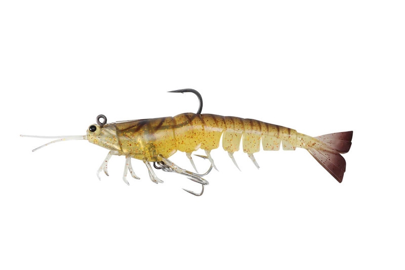 COCKROACH