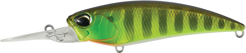 CHART GILL HALO